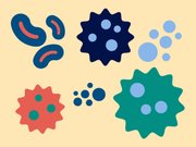Climate change helps diseases spread