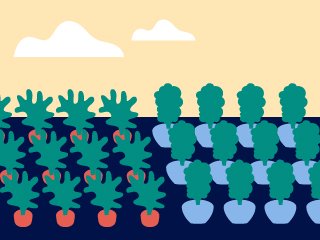 Start a school garden